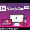 elementor pro